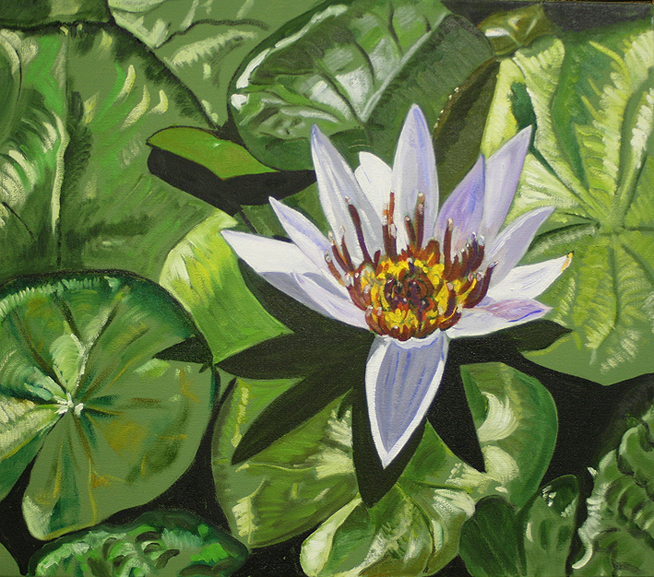 Water Lilies 4