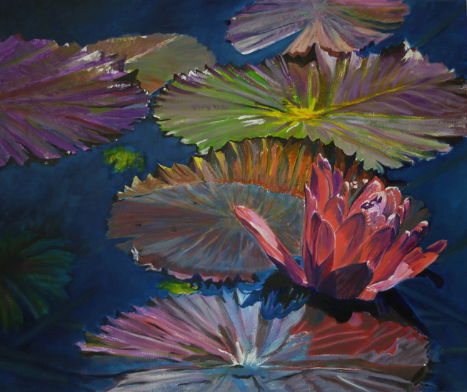 Water Lilies 7