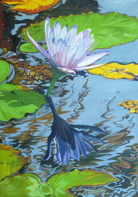Water Lilies 15