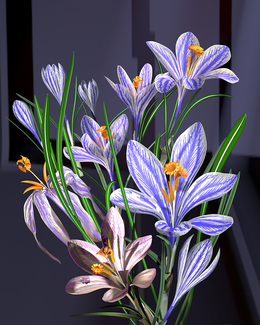 Krokus