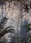Mimesis 1 (102 x 73)